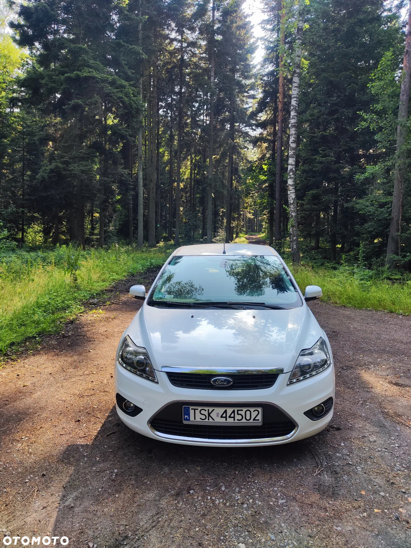 Ford Focus - 10