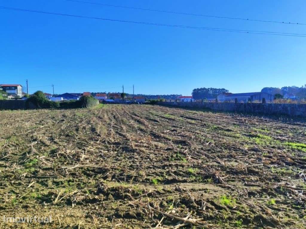 Terreno para construção - Lavra - Grande imagem: 3/11