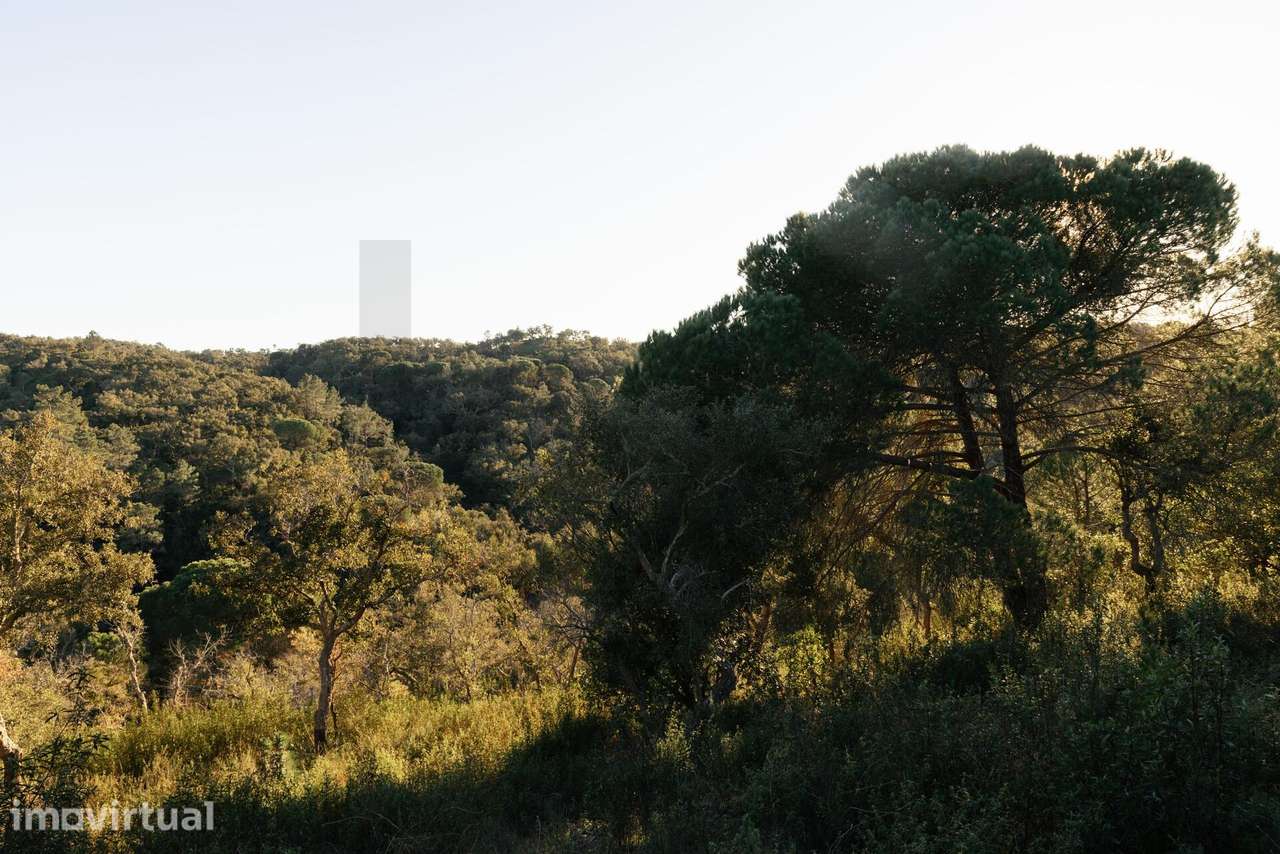 Terreno 17.9Ha com PIP Aprovado e vista mar em São Francisco da Serra - Grande imagem: 5/29