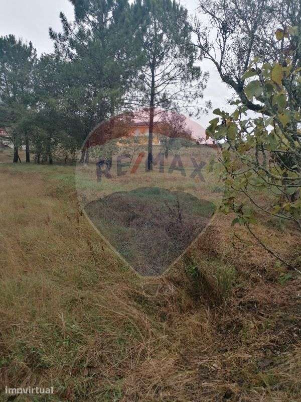 Terreno  para venda - Grande imagem: 2/3