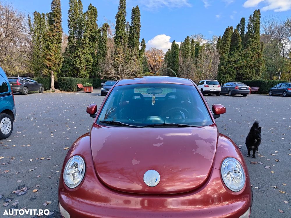 Volkswagen Beetle - 10