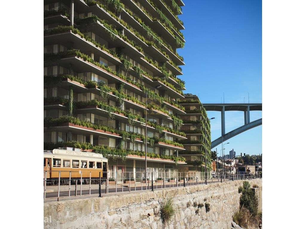 T4 transformado em T3 no Rio Douro - Grande imagem: 5/23