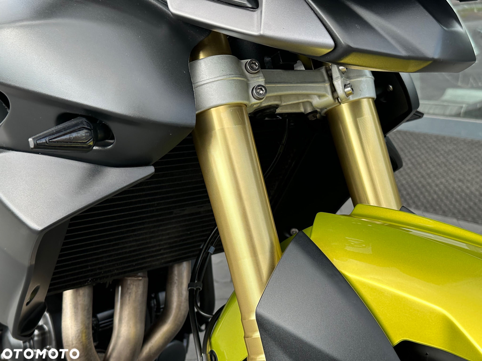 Triumph Tiger - 20