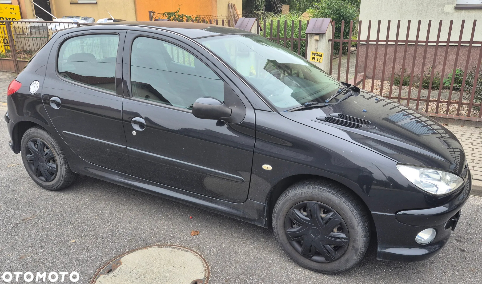 Peugeot 206 - 3