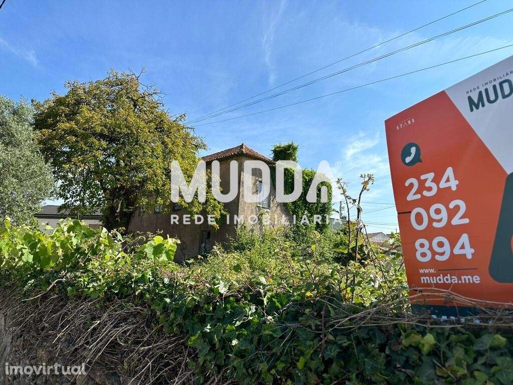 Ruína com terrenos, Branca, Albergaria-a-Velha - Grande imagem: 5/19