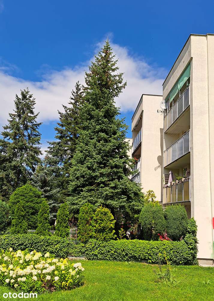 Jasne, zadbane 3 - pokojowe, blisko Metro Imielin, Las Kabacki
