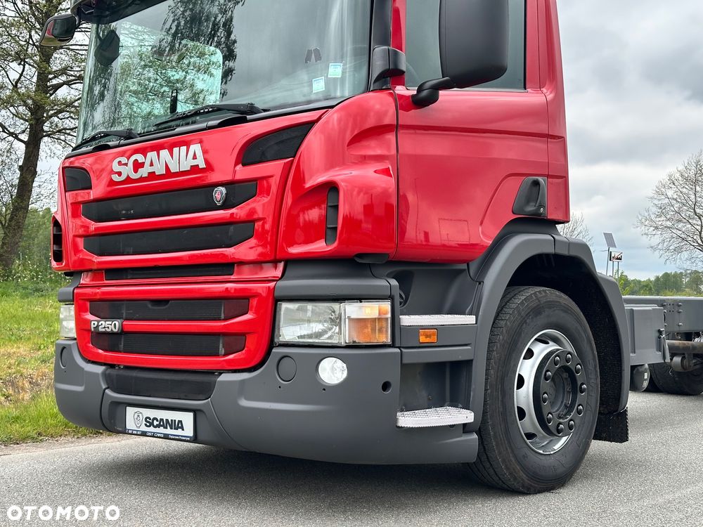 Scania P250 4x2 euro6 rama do zabudowy - 9