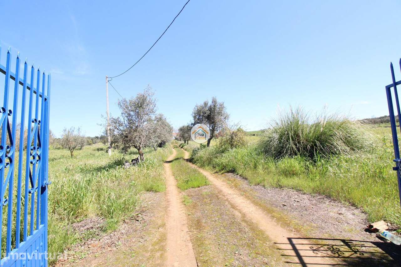 Quinta com 3,35 Hectares com Habitação de 130m2 localizada em Vila Boi - Grande imagem: 4/46