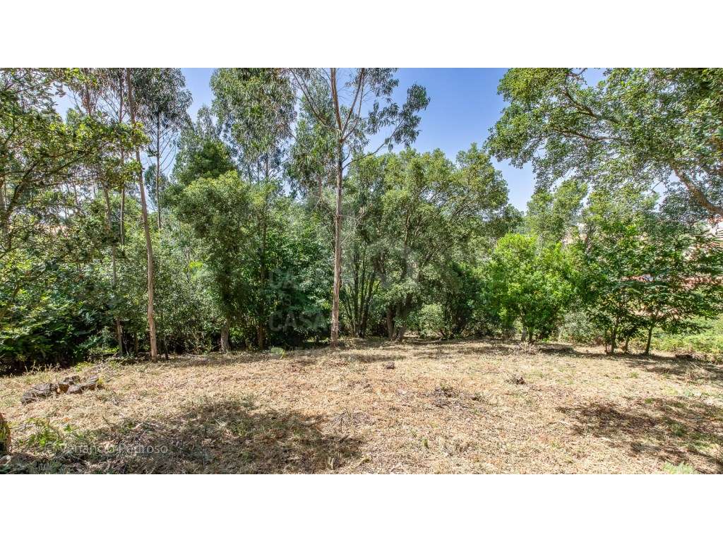 Vende Terreno - Ericeira 15 Km, A Casa das Casas - Grande imagem: 3/13