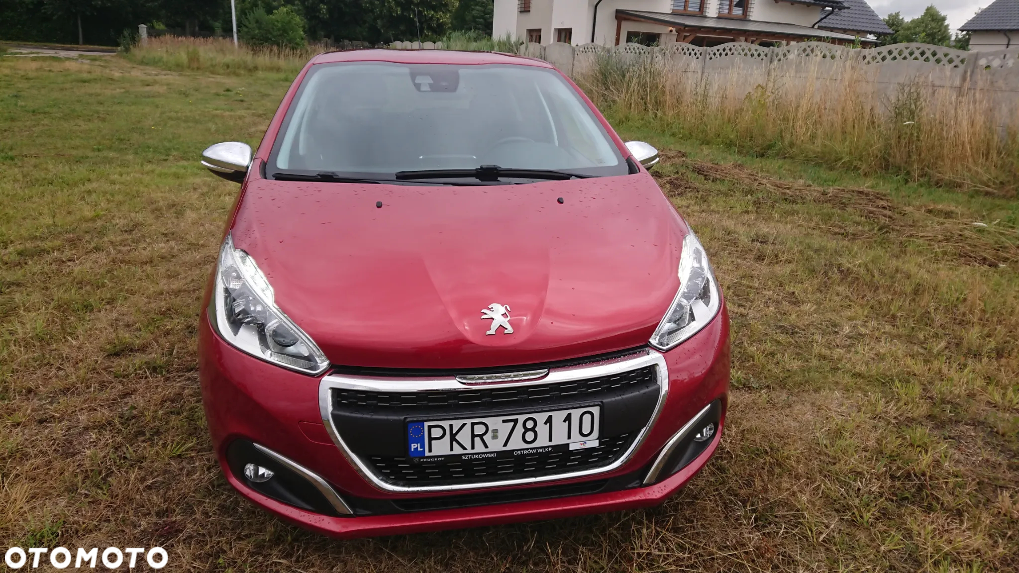 Peugeot 208 - 20