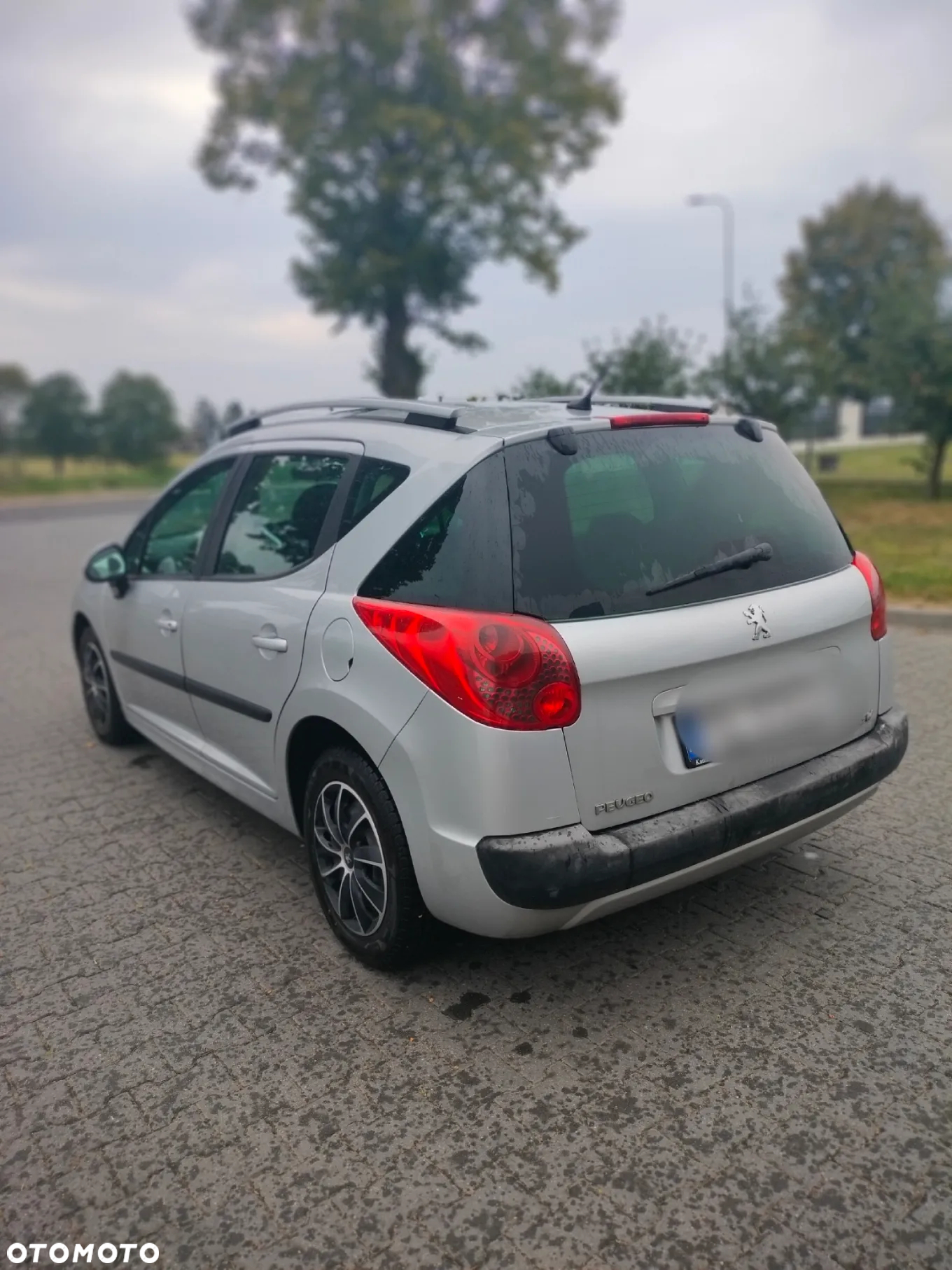 Peugeot 207 - 3
