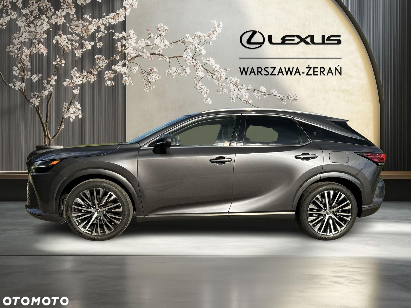 Lexus RX - 4