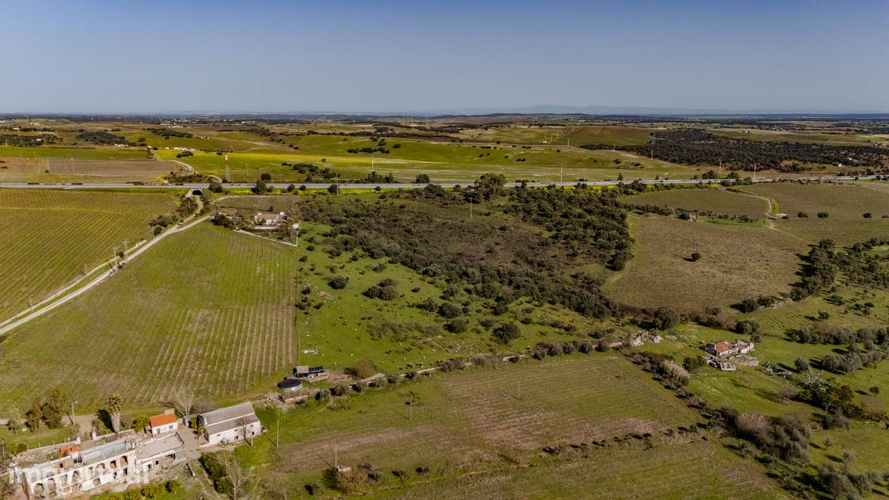 Quinta para Venda em Borba | com ruína de habitação e anexo | Alentejo - Grande imagem: 4/10