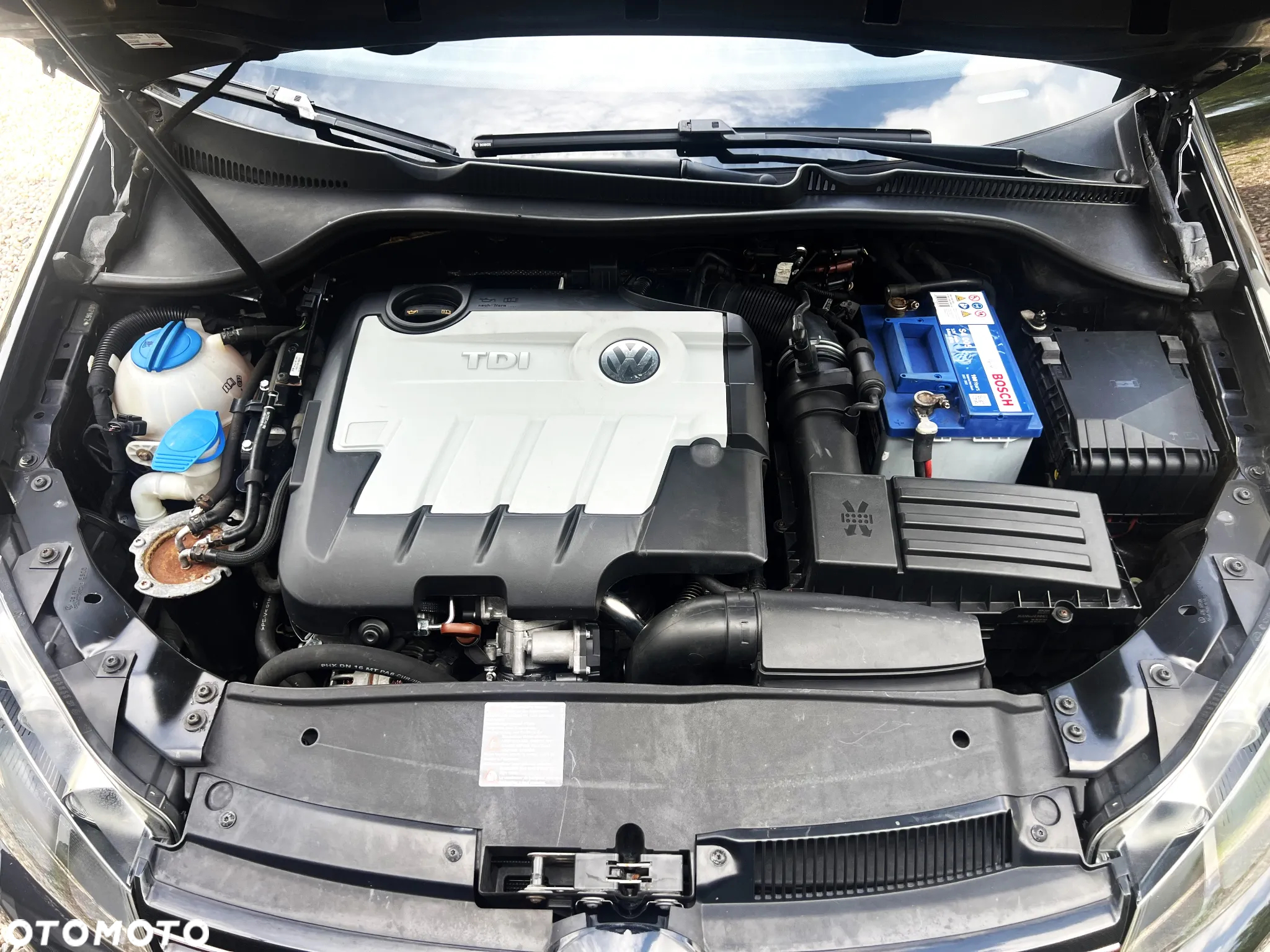 Volkswagen Golf - 13