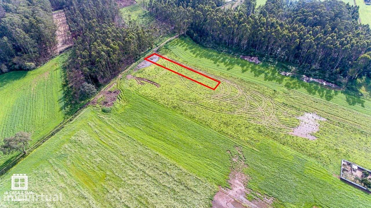 Terreno de cultivo em São João de Ovar - Exclusivo - Grande imagem: 5/12