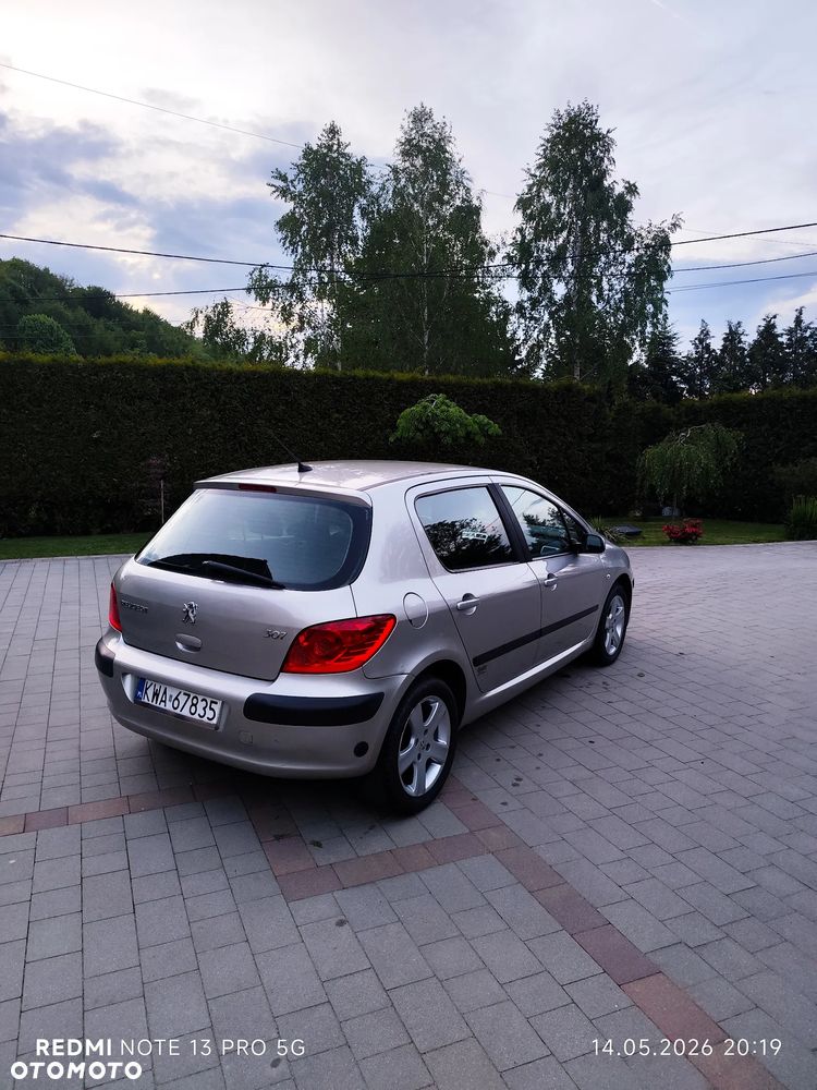 Peugeot 307 - 5