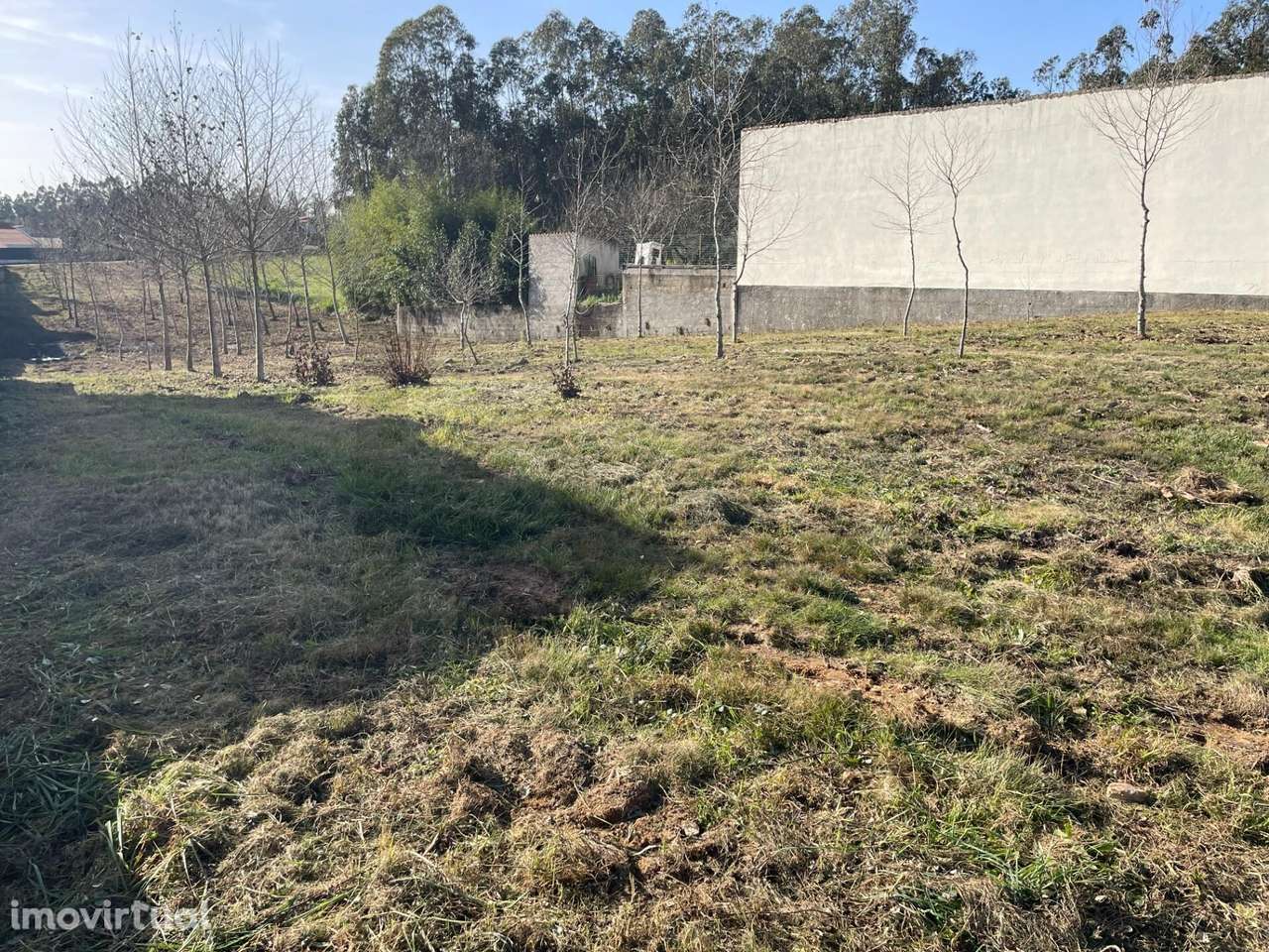 TERRENO PARA CONSTRUÇÃO - CAVADAS DE CIMA - MACINHAT DO VOUGA - Grande imagem: 2/10