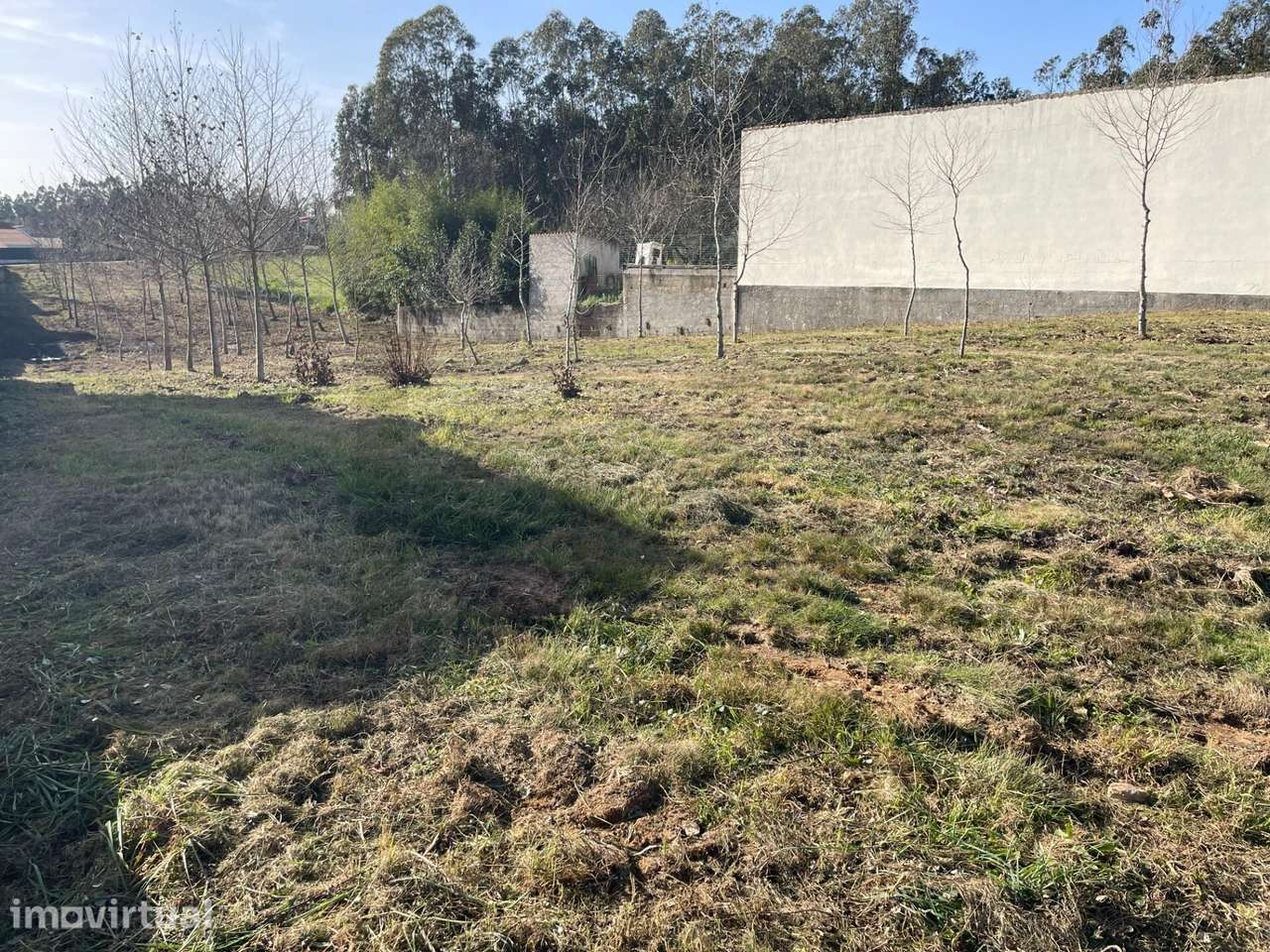 TERRENO PARA CONSTRUÇÃO - CAVADAS DE CIMA - MACINHAT DO VOUGA - Grande imagem: 2/10