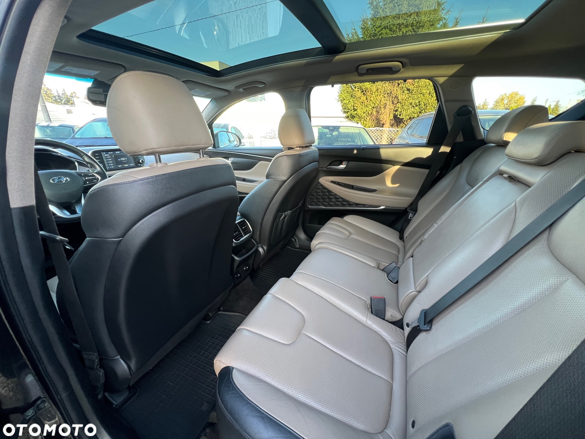 Hyundai Santa Fe - 18