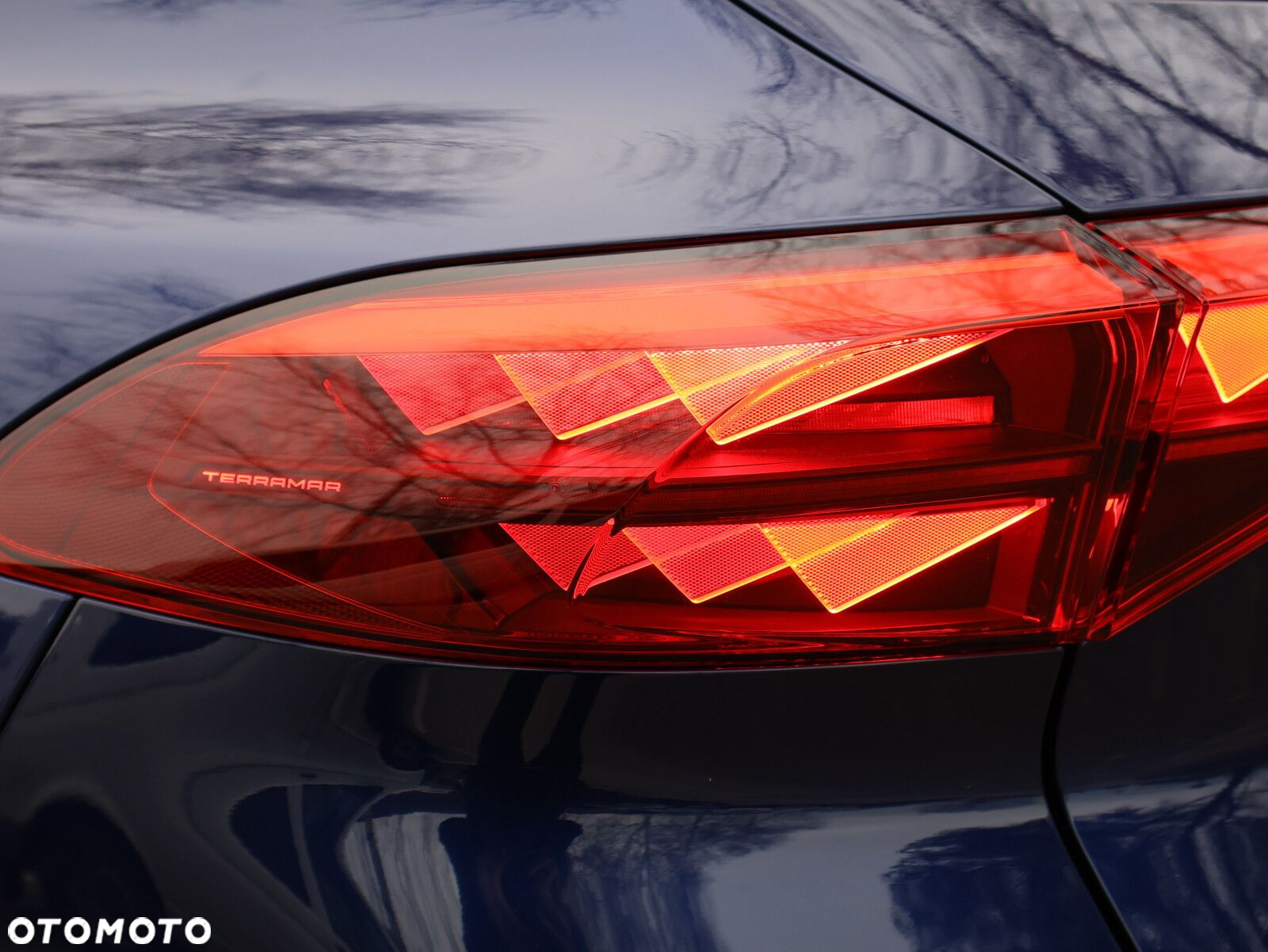 Cupra Terramar 1.5 eTSI mHEV DSG - 9