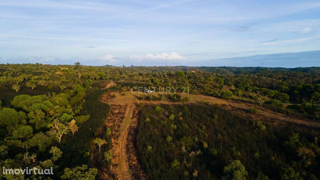 Terreno, 57 000 m², Santiago do Cacém, Santa Cruz e São Bartolomeu da Serra - Grande imagem: 3/7