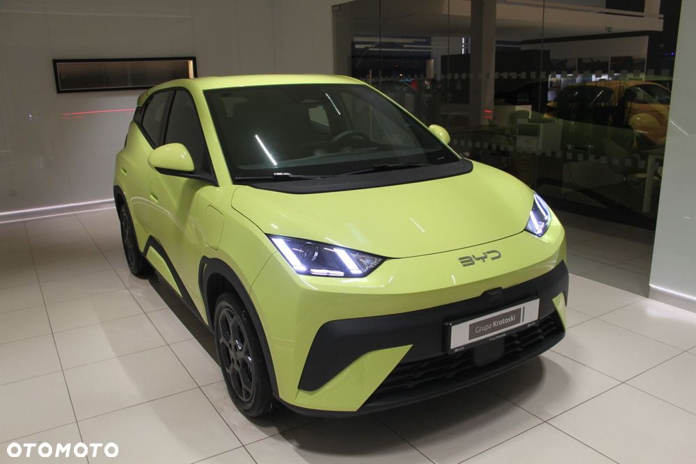 BYD Dolphin Surf - 9