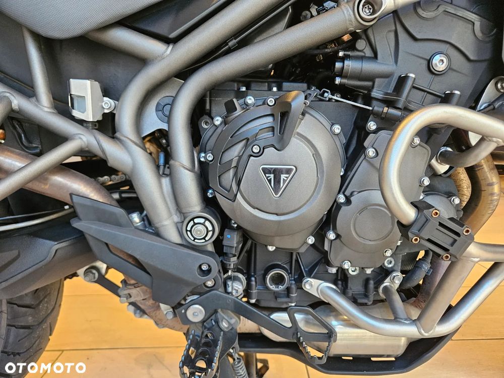 Triumph Tiger - 20