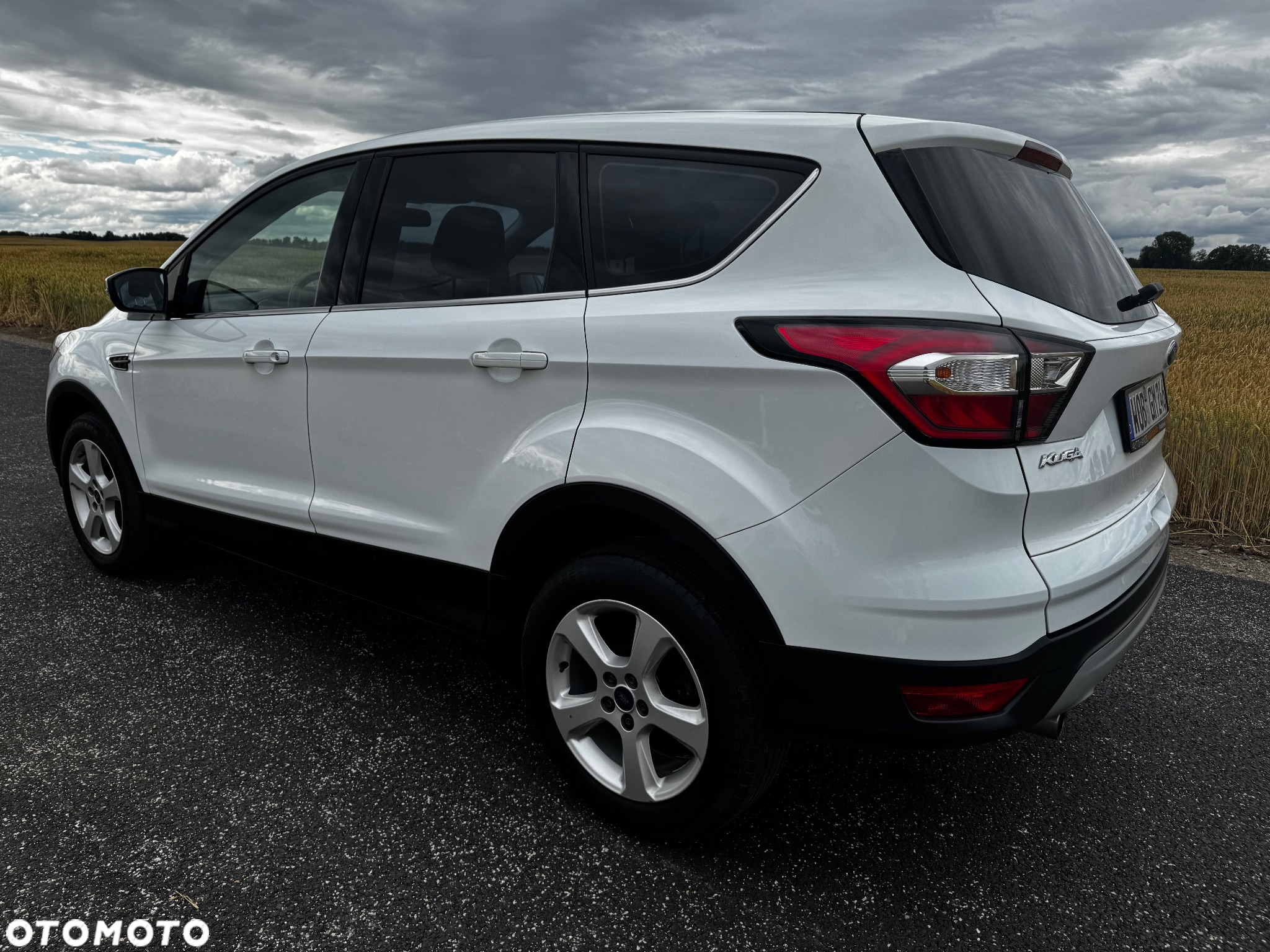 Ford Kuga 1.5 EcoBoost 2x4 Trend - 2