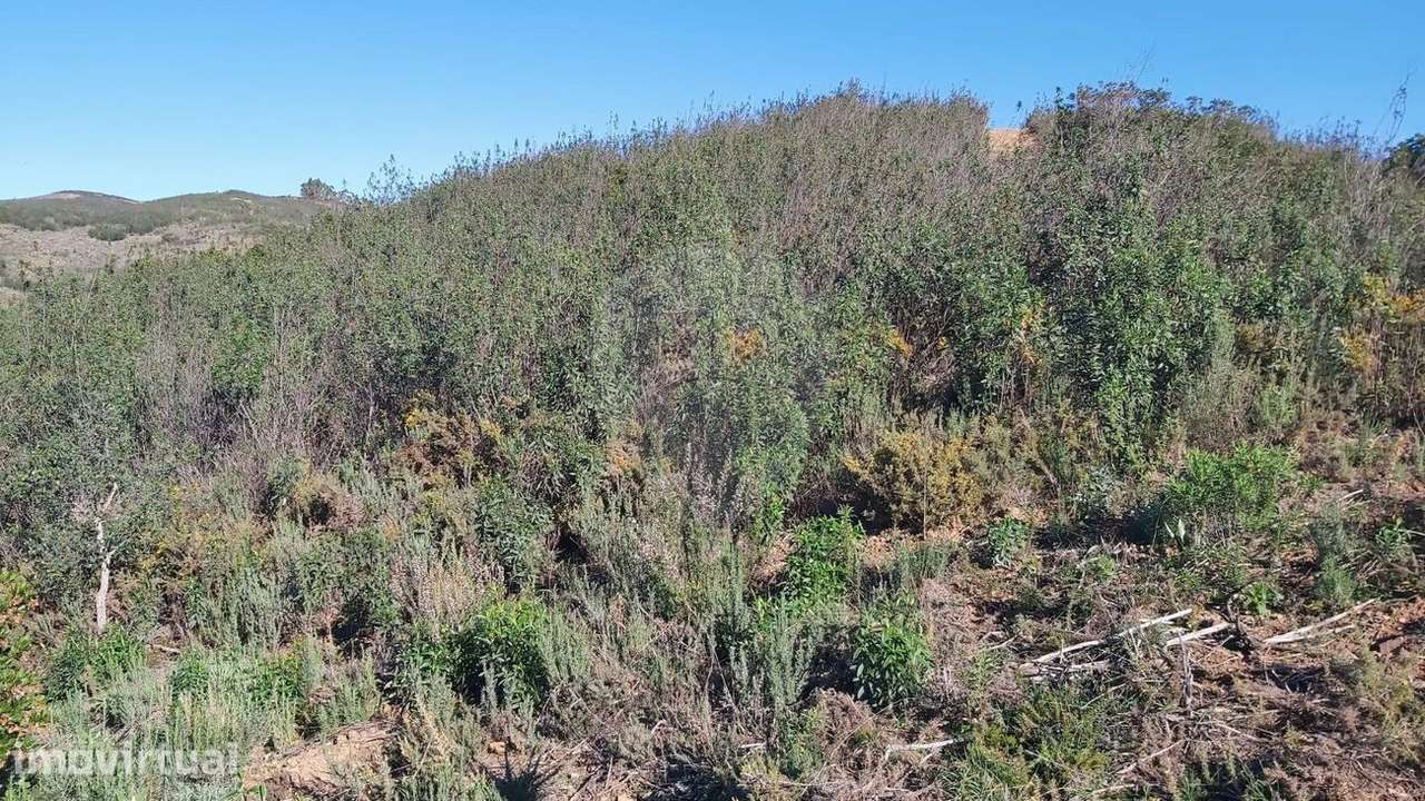 Terreno  para venda - Grande imagem: 5/6