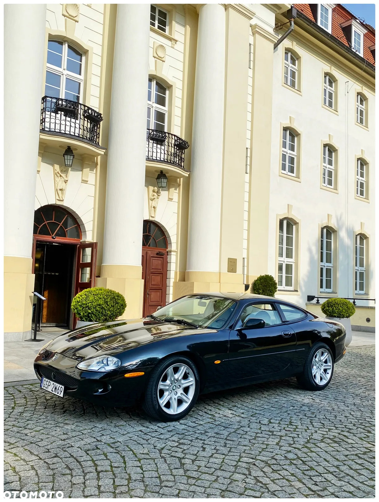 Jaguar XK - 9