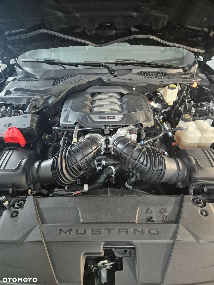 Ford Mustang 5.0 V8 Mach 1 - 12