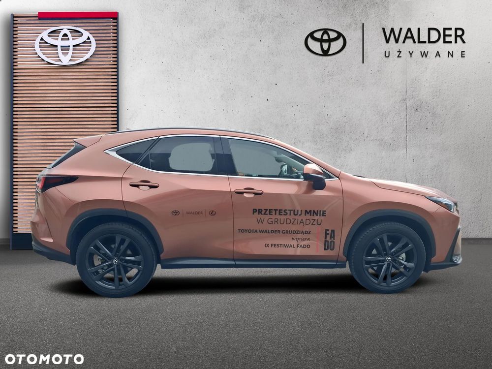 Lexus NX - 6