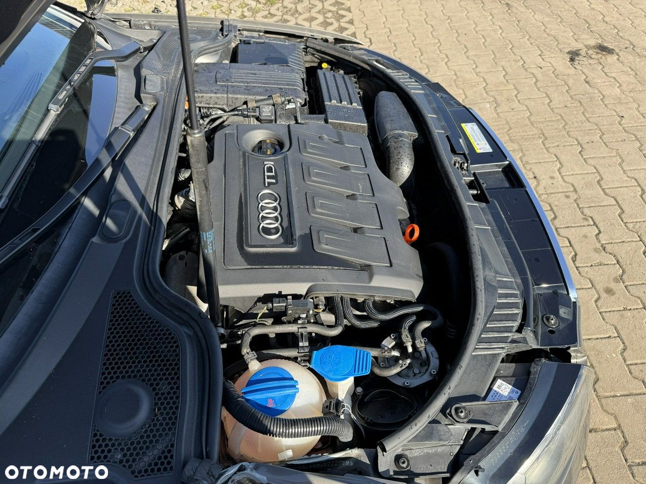 Audi A3 1.6 TDI Ambition - 13