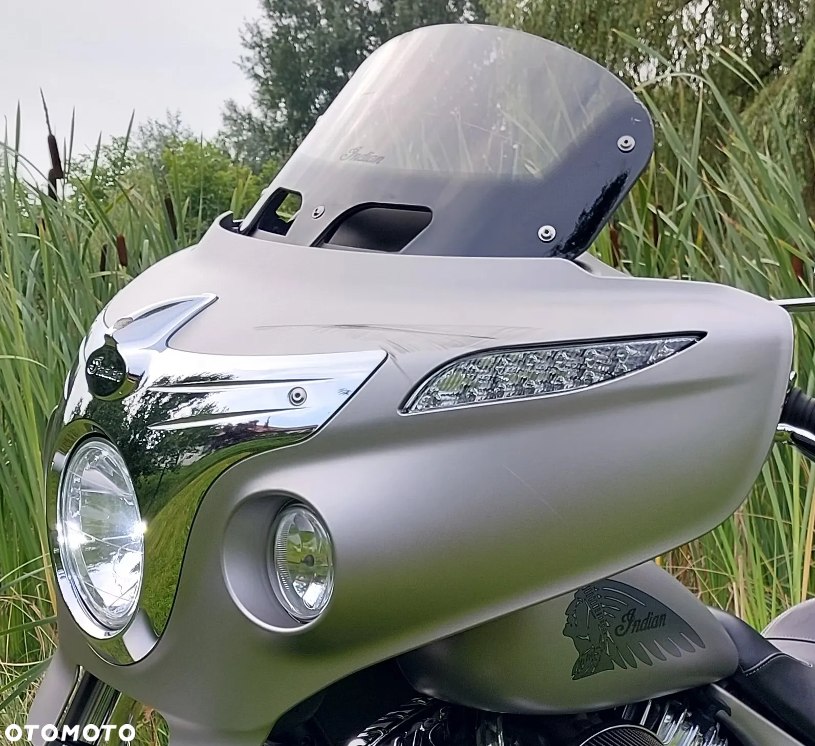 Indian Chieftain - 21