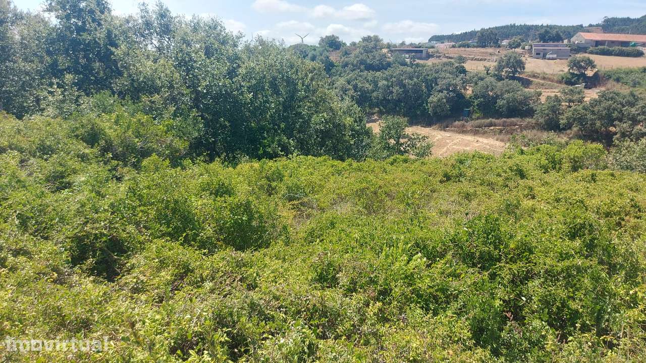 Terreno Arranhó - Arruda dos Vinhos / Lisboa com 5.240 m² - Grande imagem: 2/11