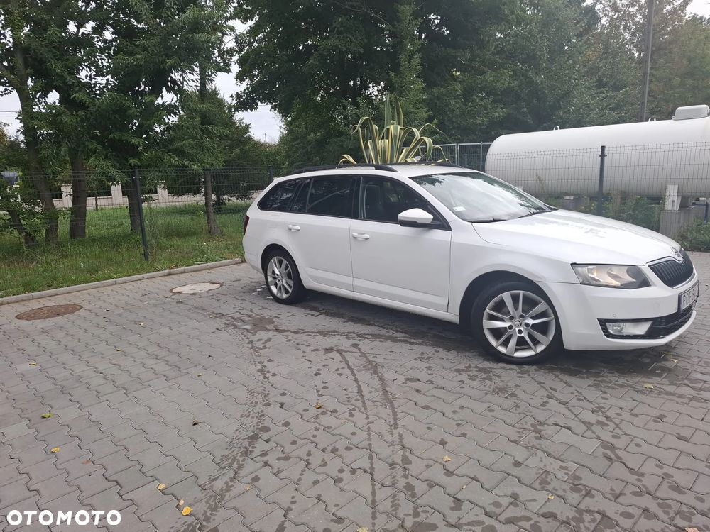 Skoda Octavia 2.0 TDI Ambition DSG - 7