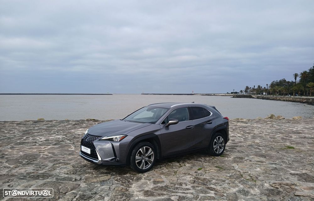 Lexus UX 300e Luxury - 2