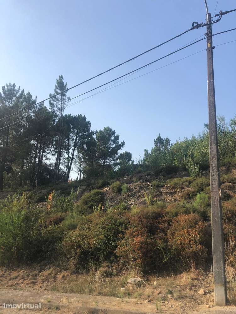 Terreno para construção de moradia em Venade, Caminha - Grande imagem: 5/5