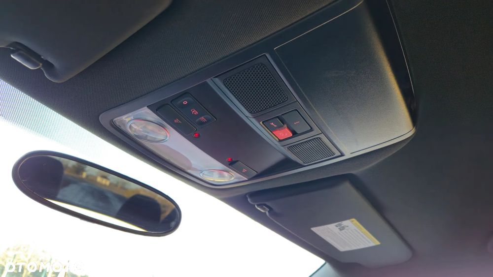 Volkswagen Beetle - 31