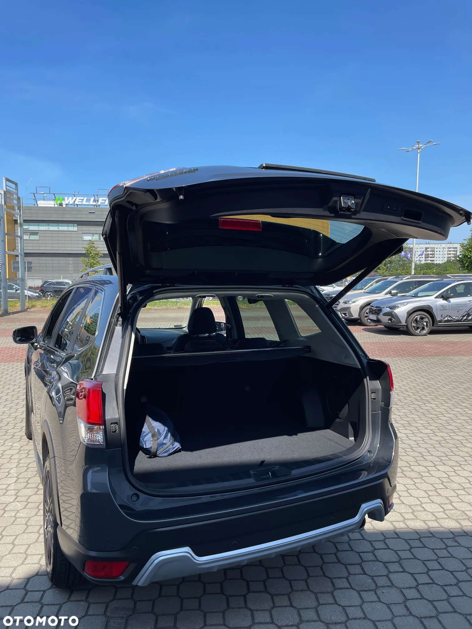 Subaru Forester 2.0i-L Platinum (EyeSight) Lineartronic - 11