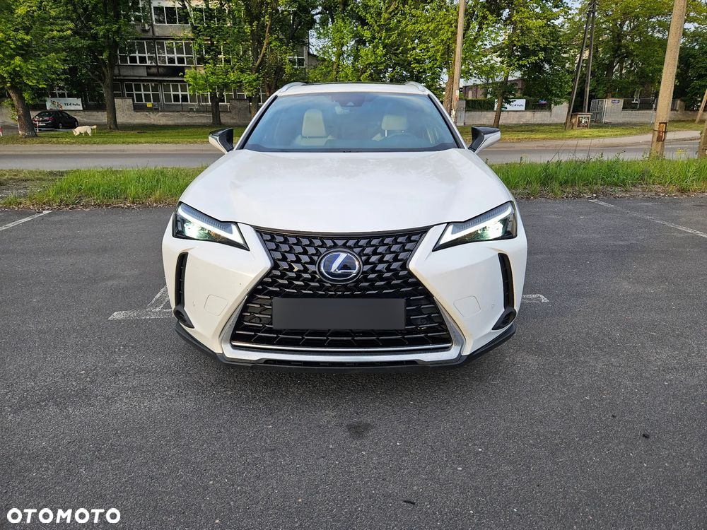 Lexus UX 250h - 3