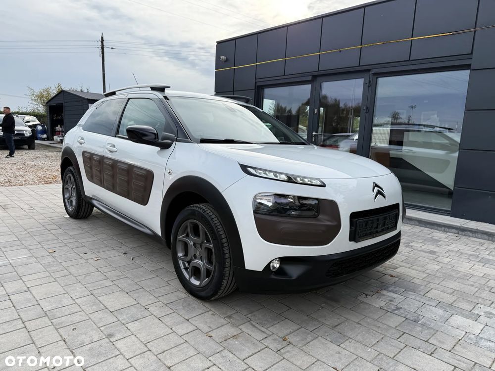 Citroën C4 Cactus VTi 82 Shine - 13