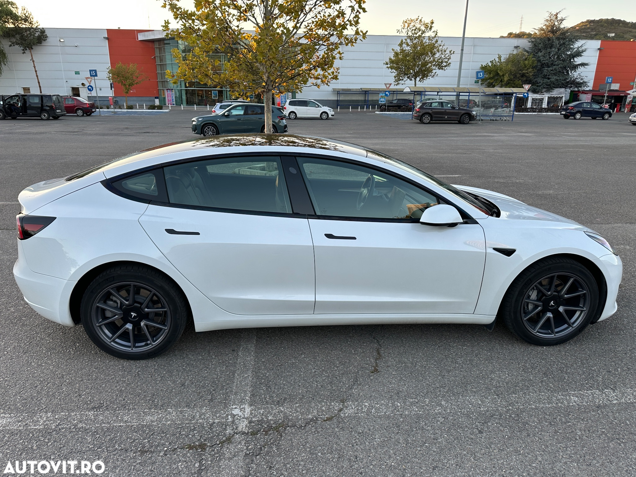 Tesla Model 3 RWD - 6