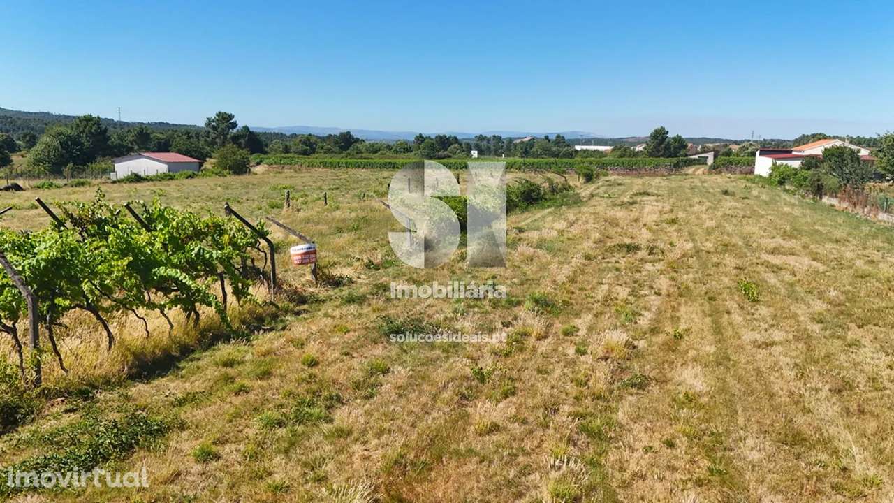 Terreno em Sabrosa - Grande imagem: 2/22