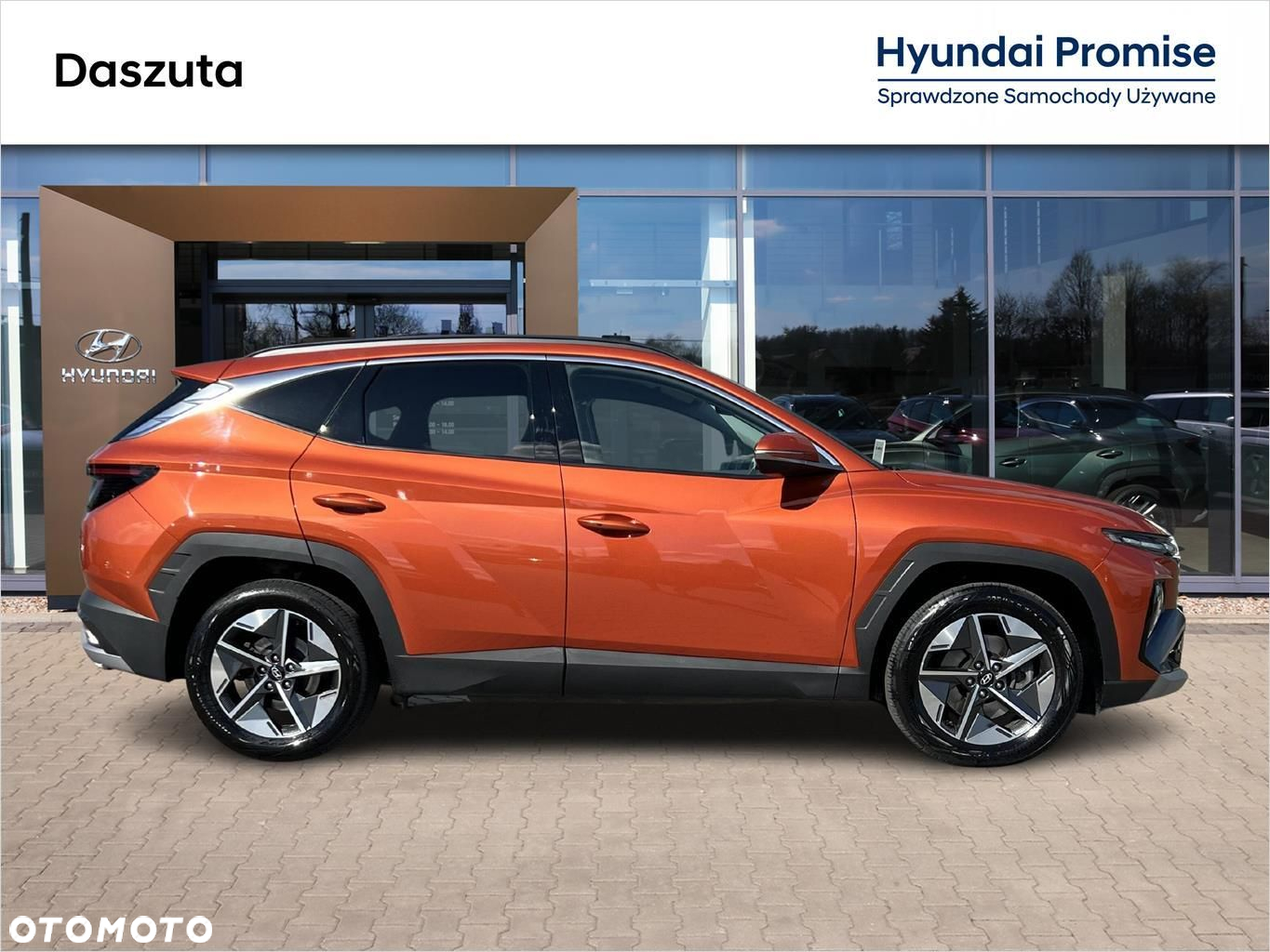 Hyundai Tucson 1.6 T-GDi 48V Executive 2WD DCT - 6