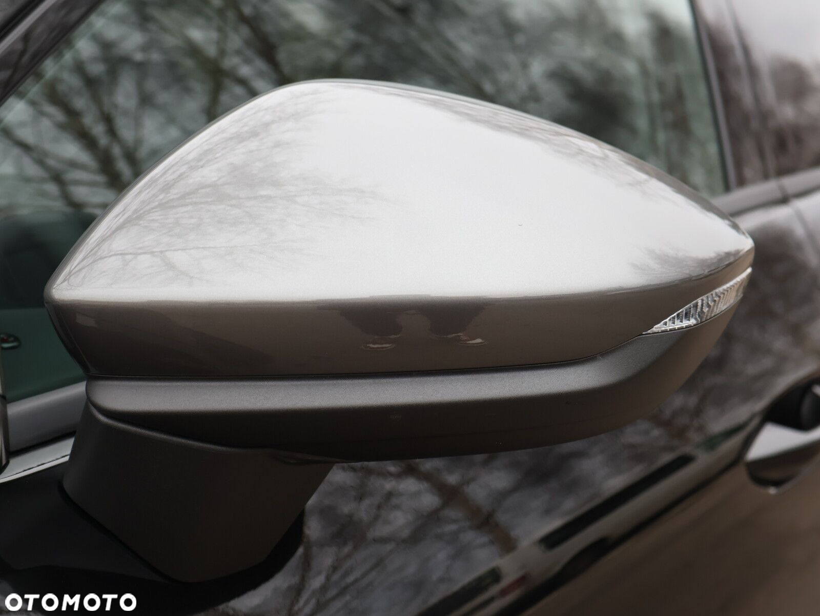 Cupra Terramar 1.5 eTSI mHEV DSG - 5