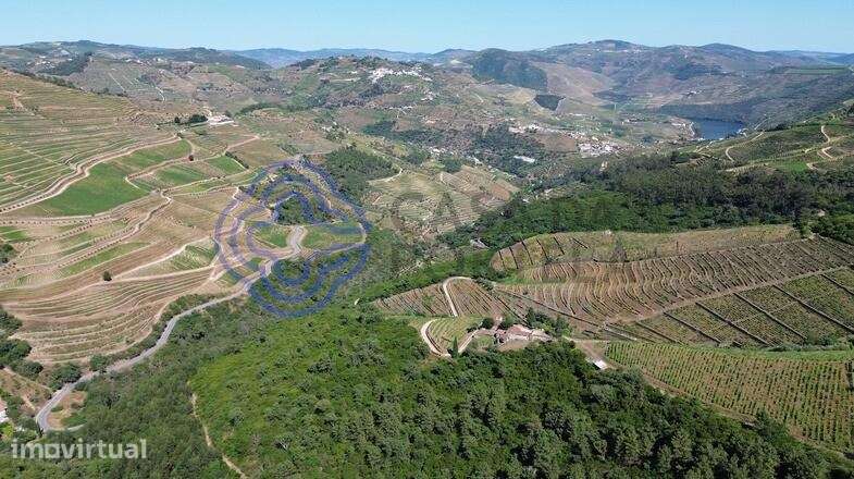 Quinta das Beatas: 56ha de história e ruínas com capela no coração do - Grande imagem: 5/23