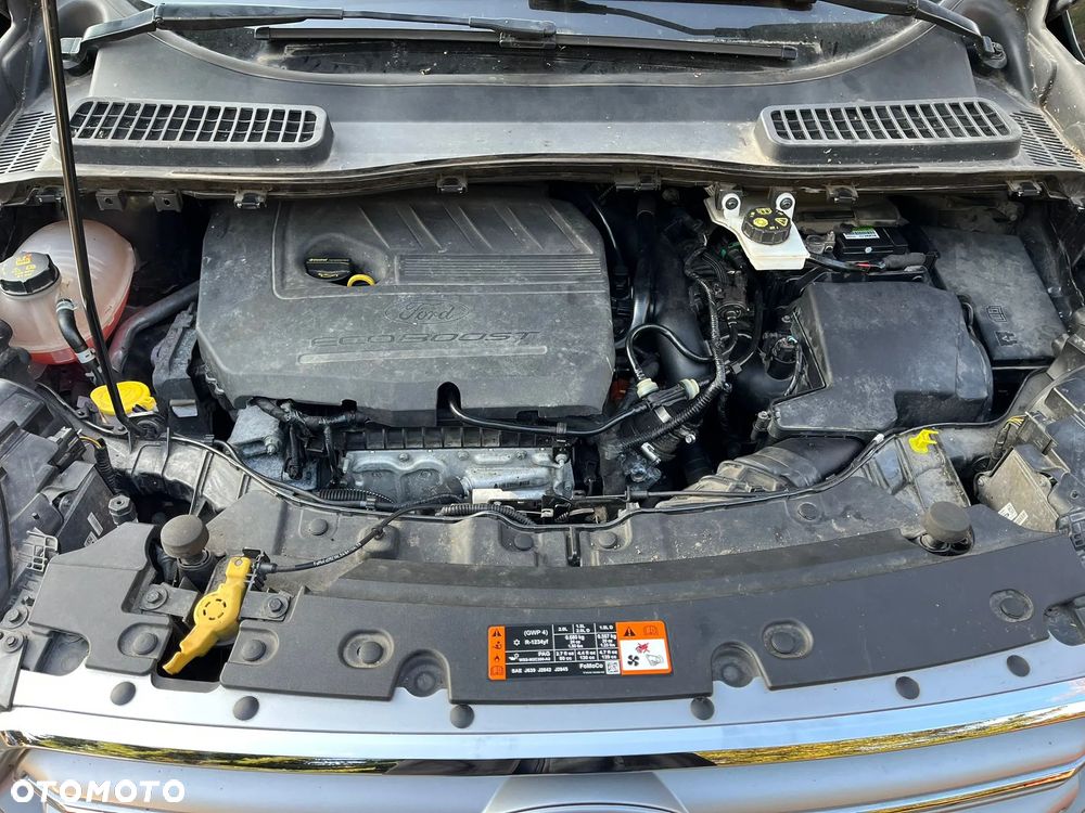 Ford Kuga 1.5 EcoBoost 2x4 Business Edition - 14