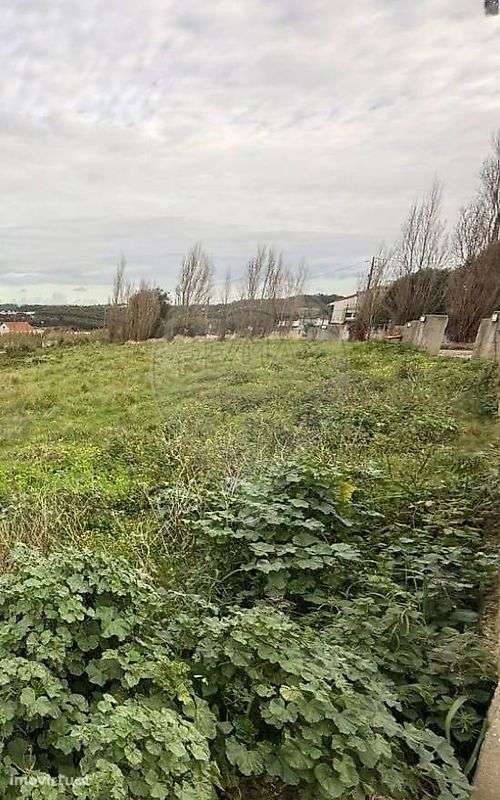 Terreno  para venda - Grande imagem: 5/5