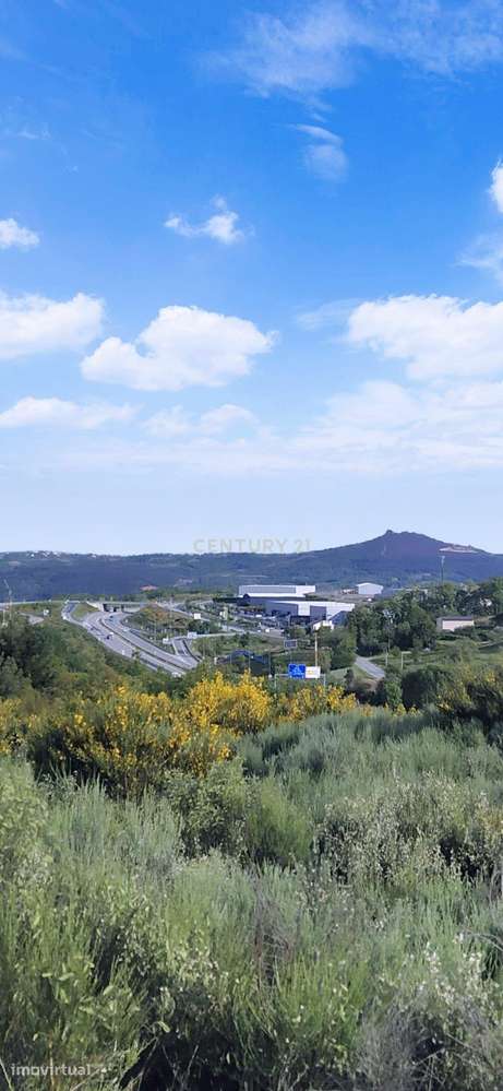 Terreno com vistas deslumbrante - Mós - Grande imagem: 2/6